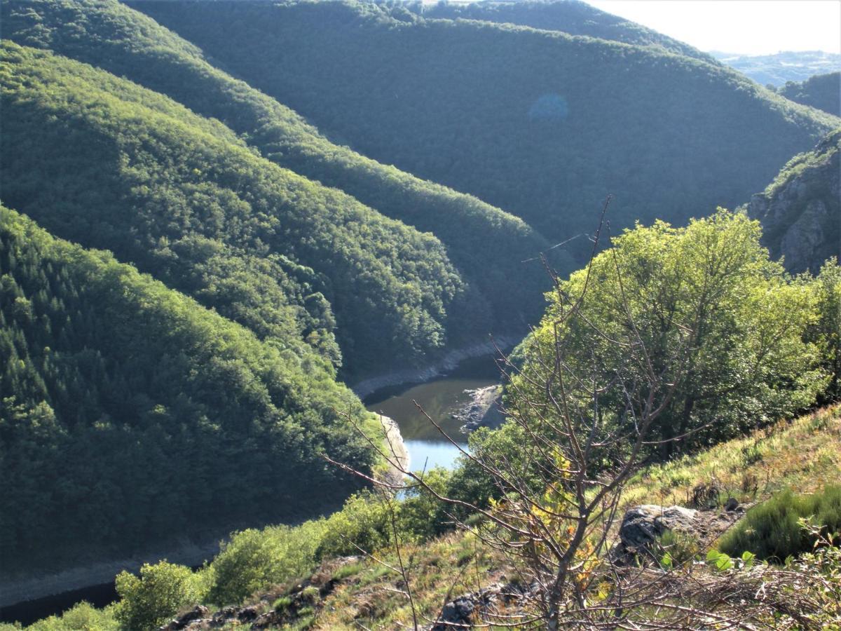 Chalet Nature Sur La Vallee De La Truyere Neuvéglise Εξωτερικό φωτογραφία